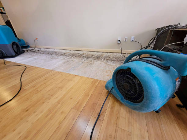 Professional Basement Flood Cleanup technician working in North Monmouth, ME